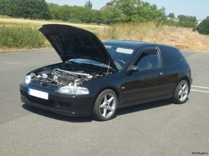 S6300112_800x600.JPG