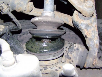 DSCF6878.JPG