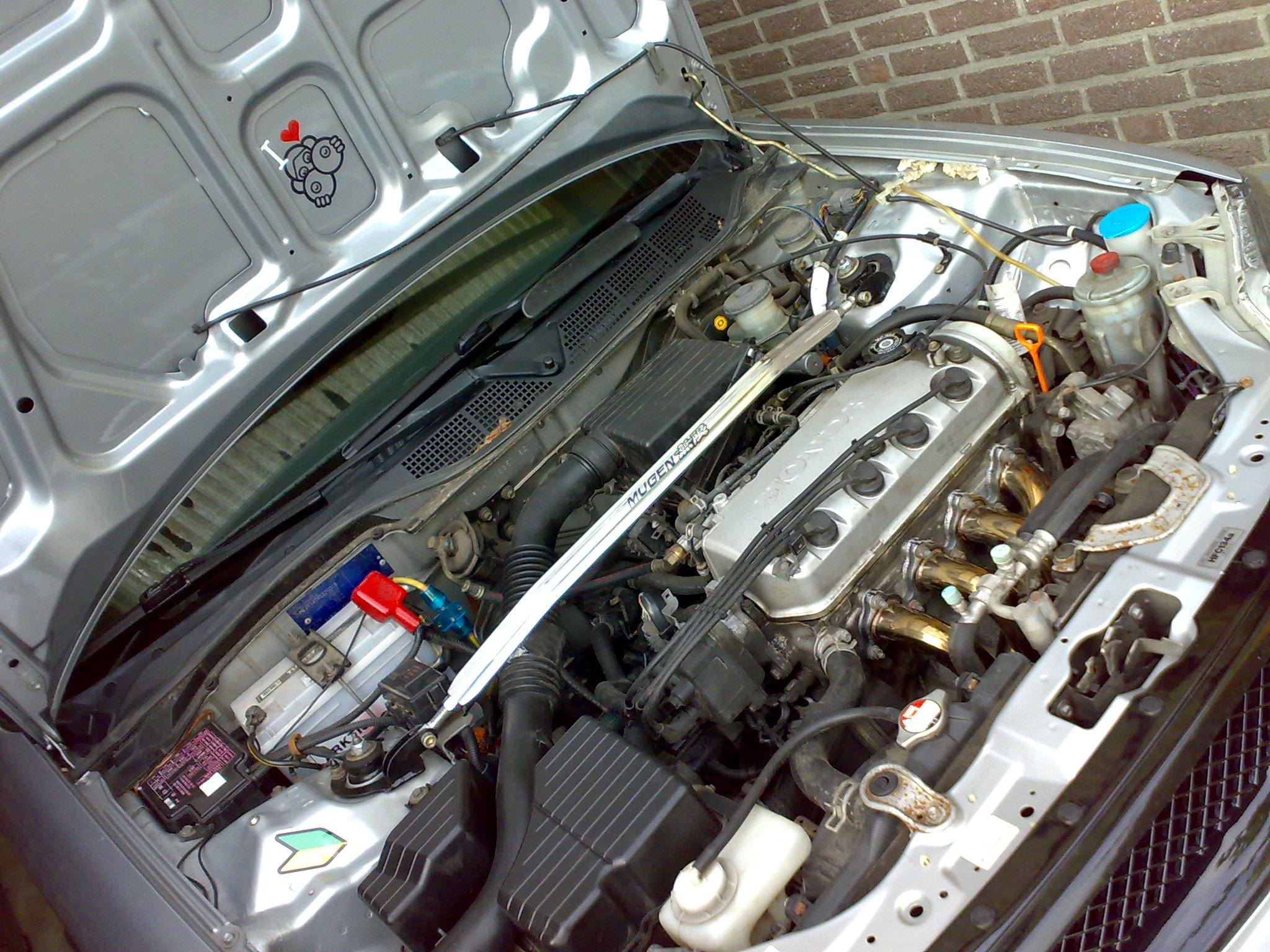 16072008254.jpg