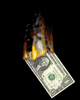 avatar brennender dollar animiert.gif