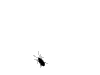 avatar Krabbelkaefer animiert.gif