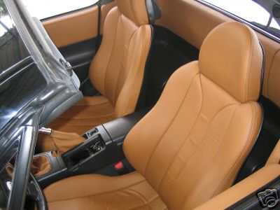 CRX - LEDER.jpg
