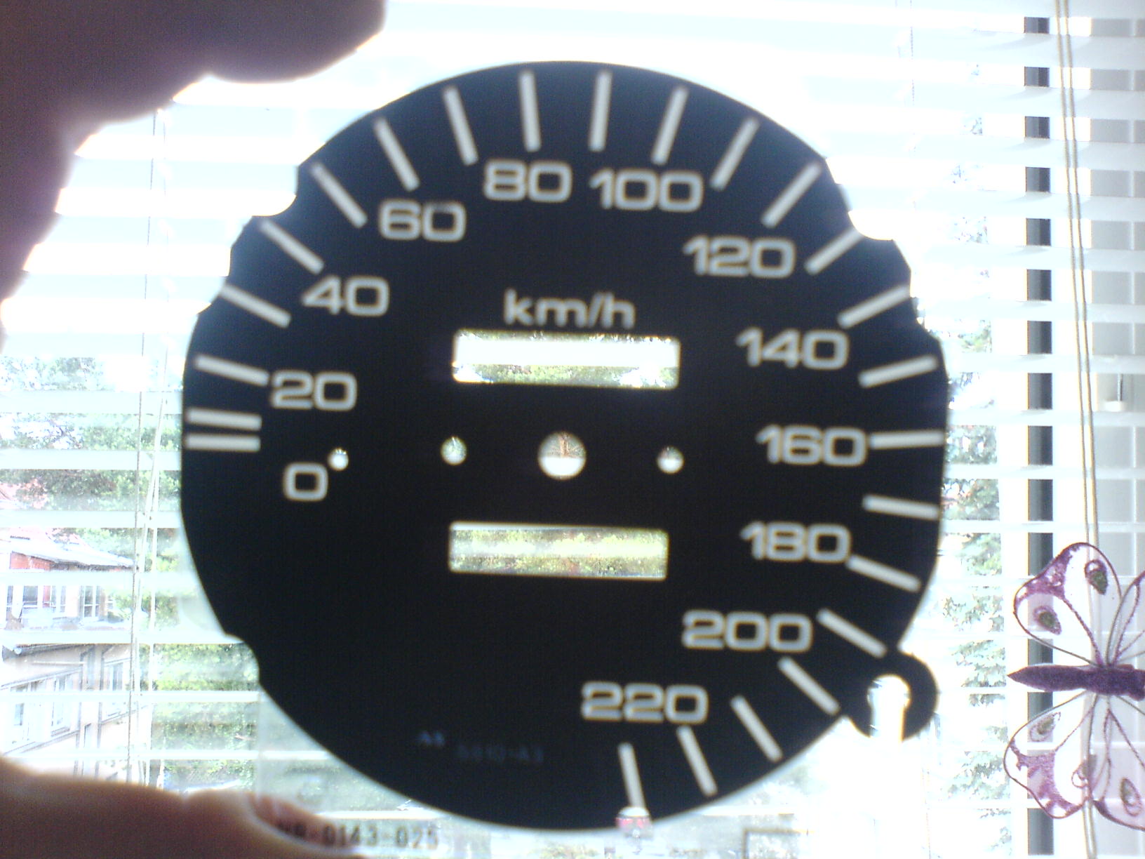DSC00125.JPG