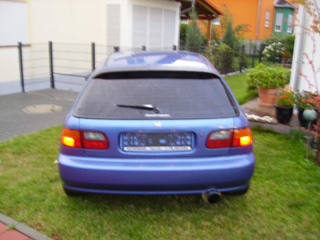 IMGP1039.JPG