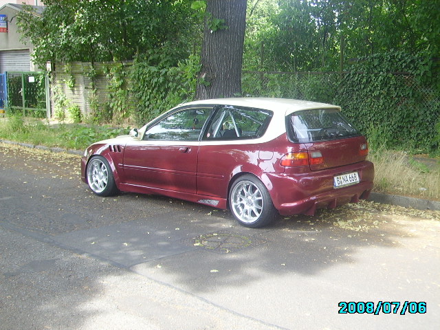 IMGP1102.JPG