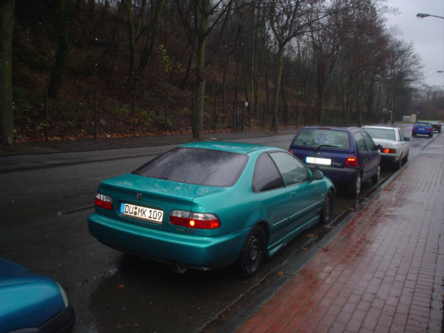 katze und mini me 018.JPG