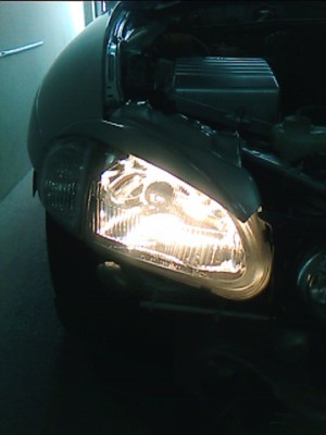 IMG006.JPG