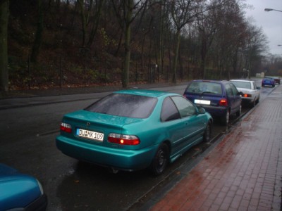 katze und mini me 018.JPG