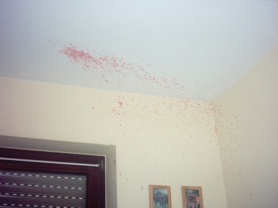 phot0014qz1.jpg