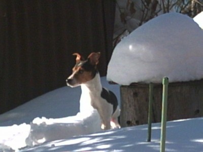 PICT0115.JPG