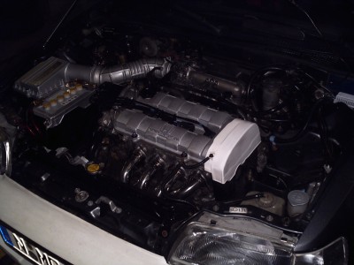 PICT01351.jpg