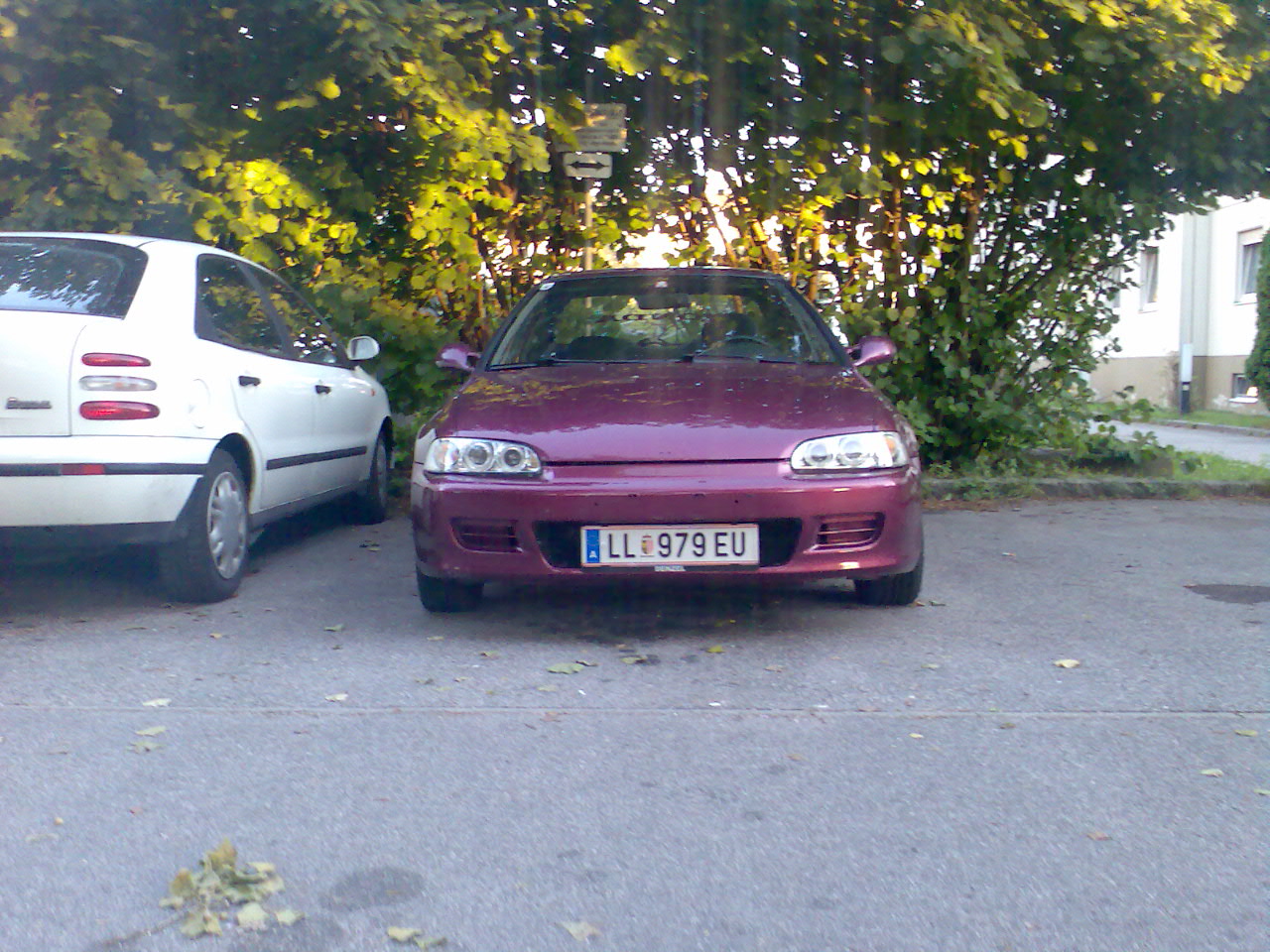 Bild004.jpg