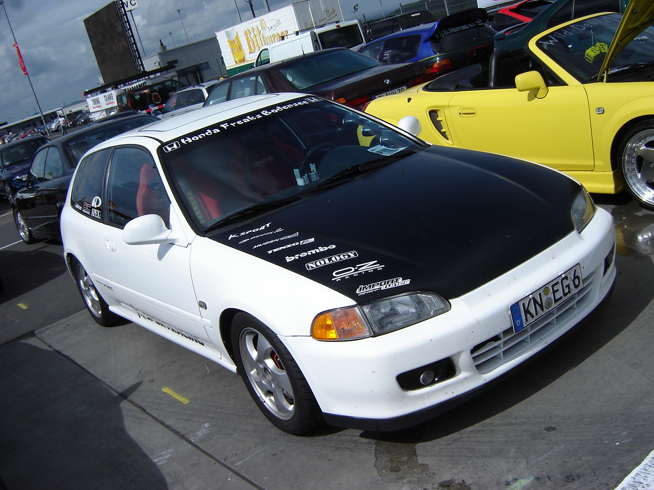 dsc03345.jpg