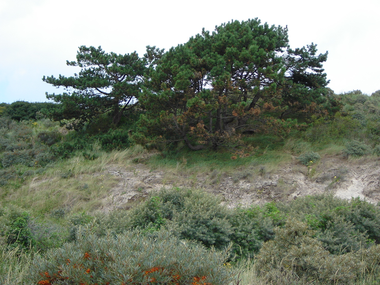DSC03652.JPG