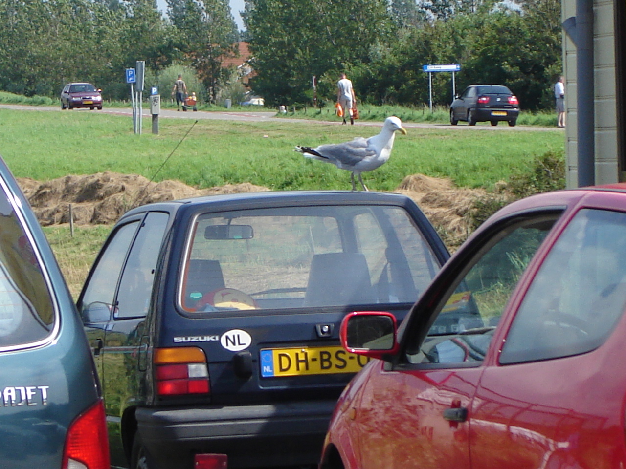 DSC03673.JPG