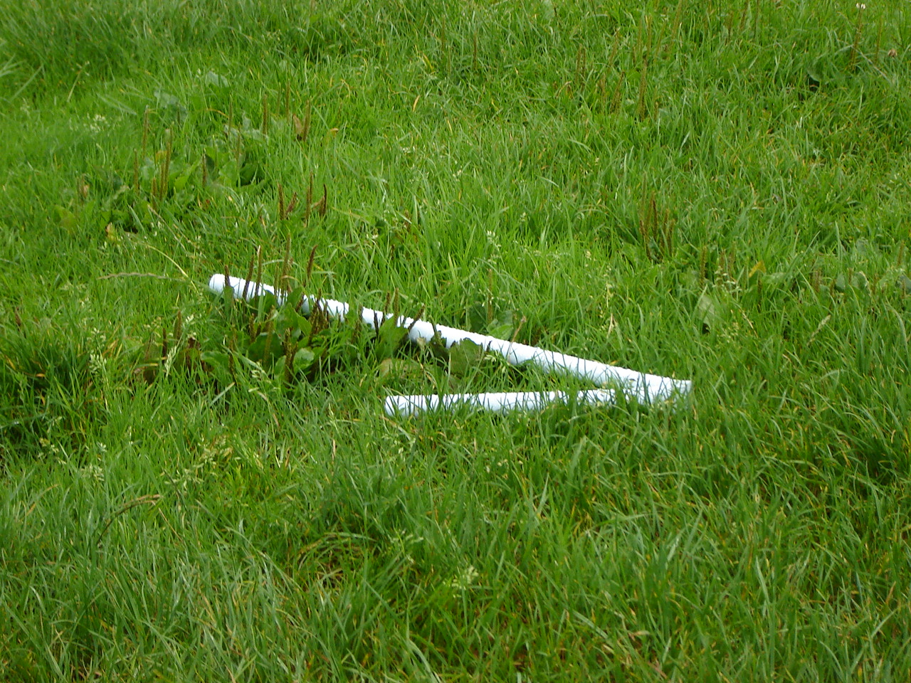 DSC03680.JPG