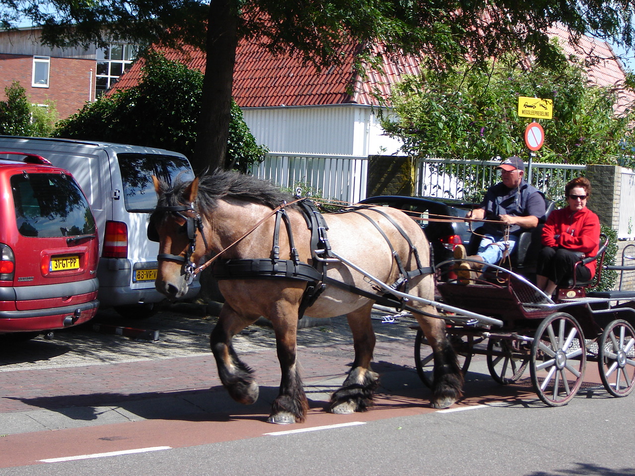 DSC03713.JPG