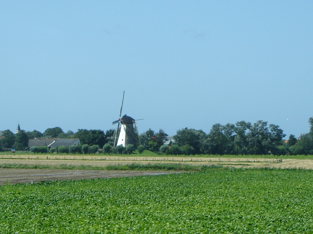 DSC03748.JPG