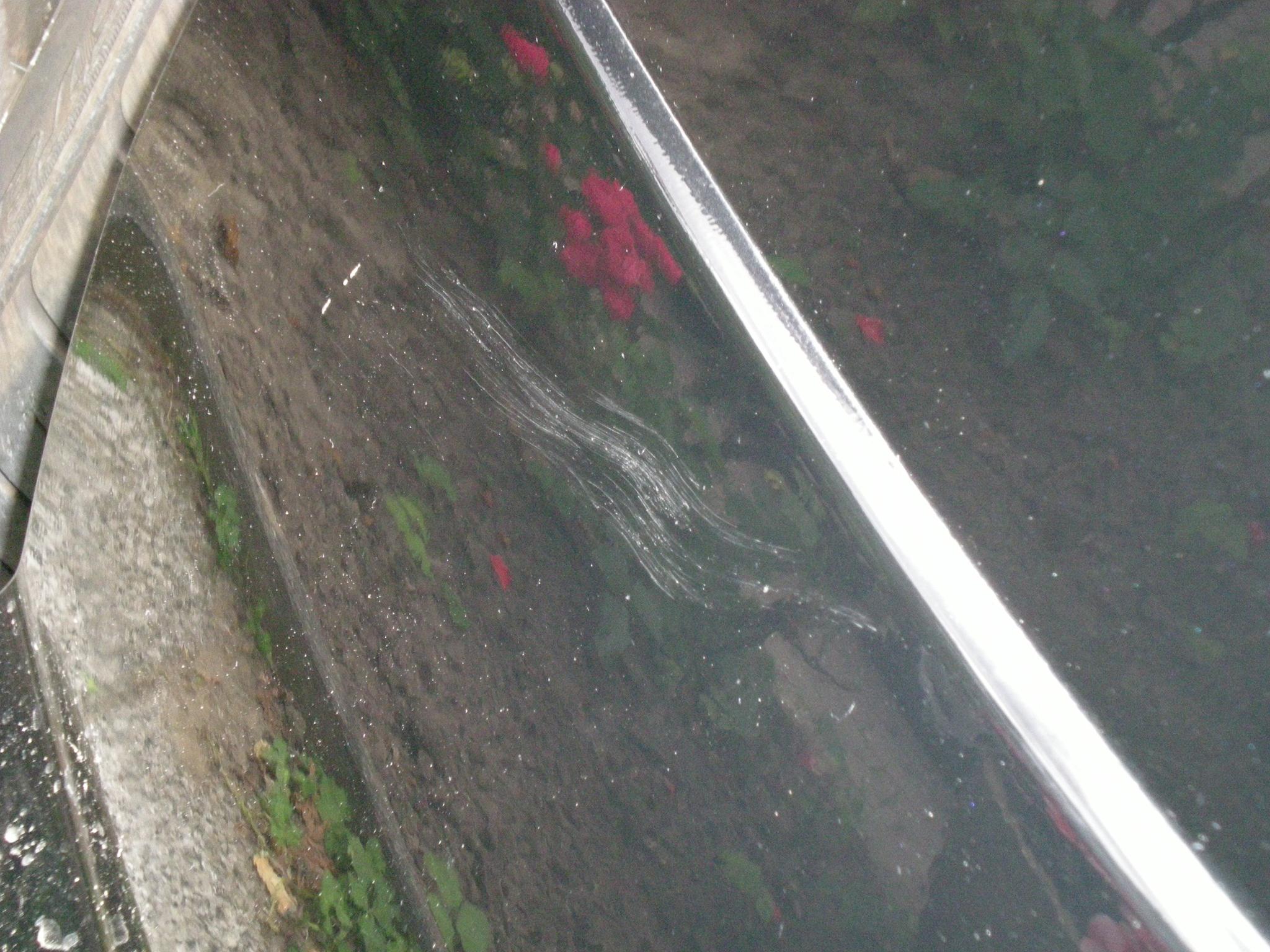DSCN0136.JPG