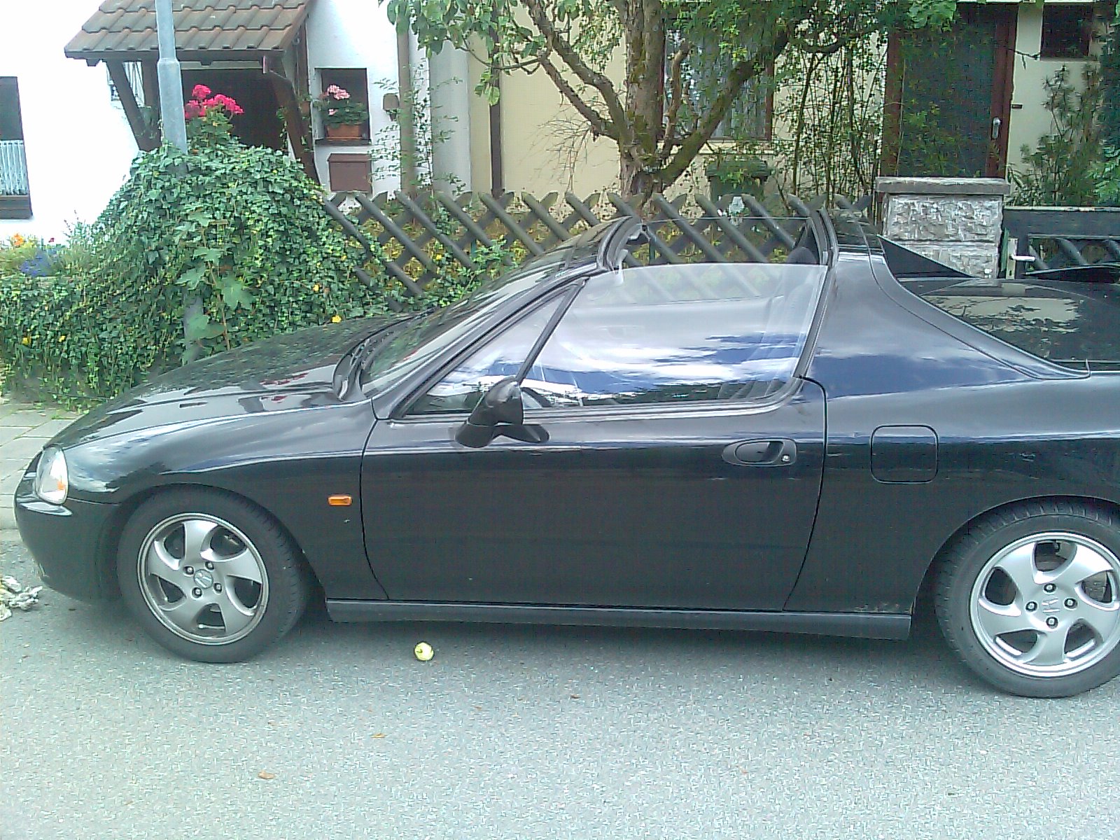 IMAG0040.jpg