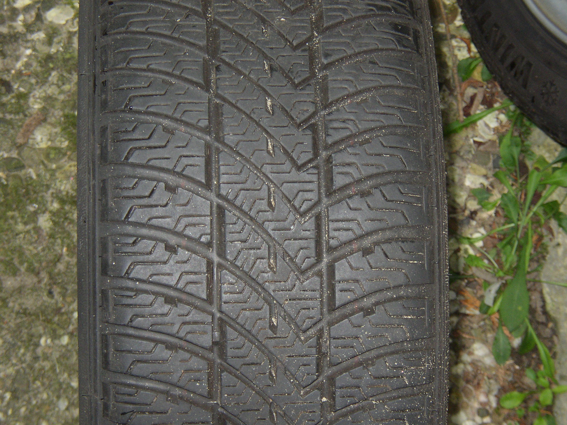 P1010008.JPG