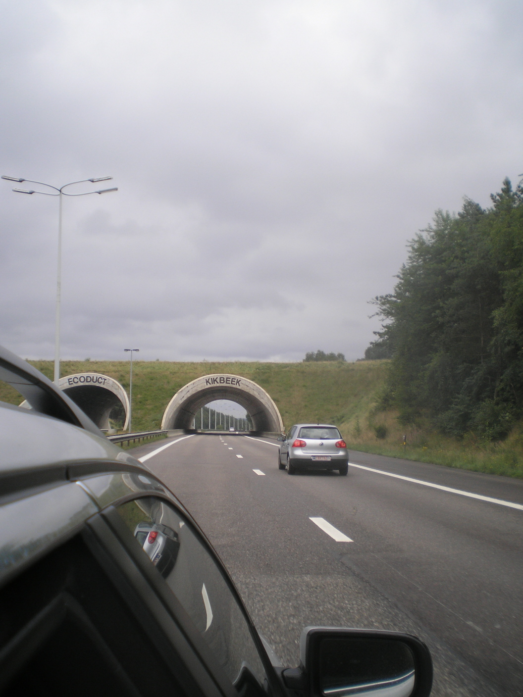 P8100576.JPG