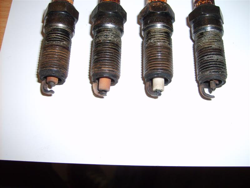 SD531909 (Medium).JPG