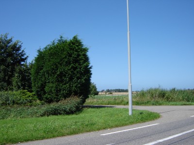 DSC03724.JPG