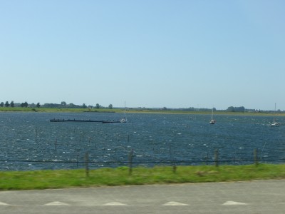DSC03755.JPG
