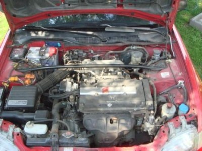 DSC07170neu.JPG