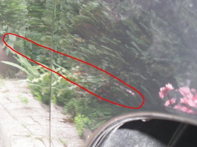 DSCN0135.JPG