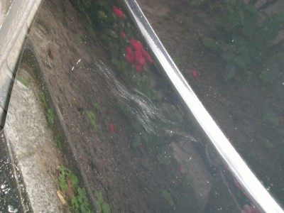 DSCN0136.JPG