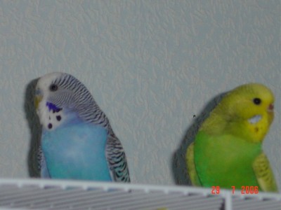 Familie 010.jpg