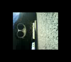 MOV00282.avi