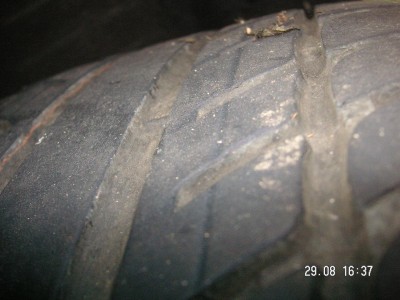PICT0087.JPG