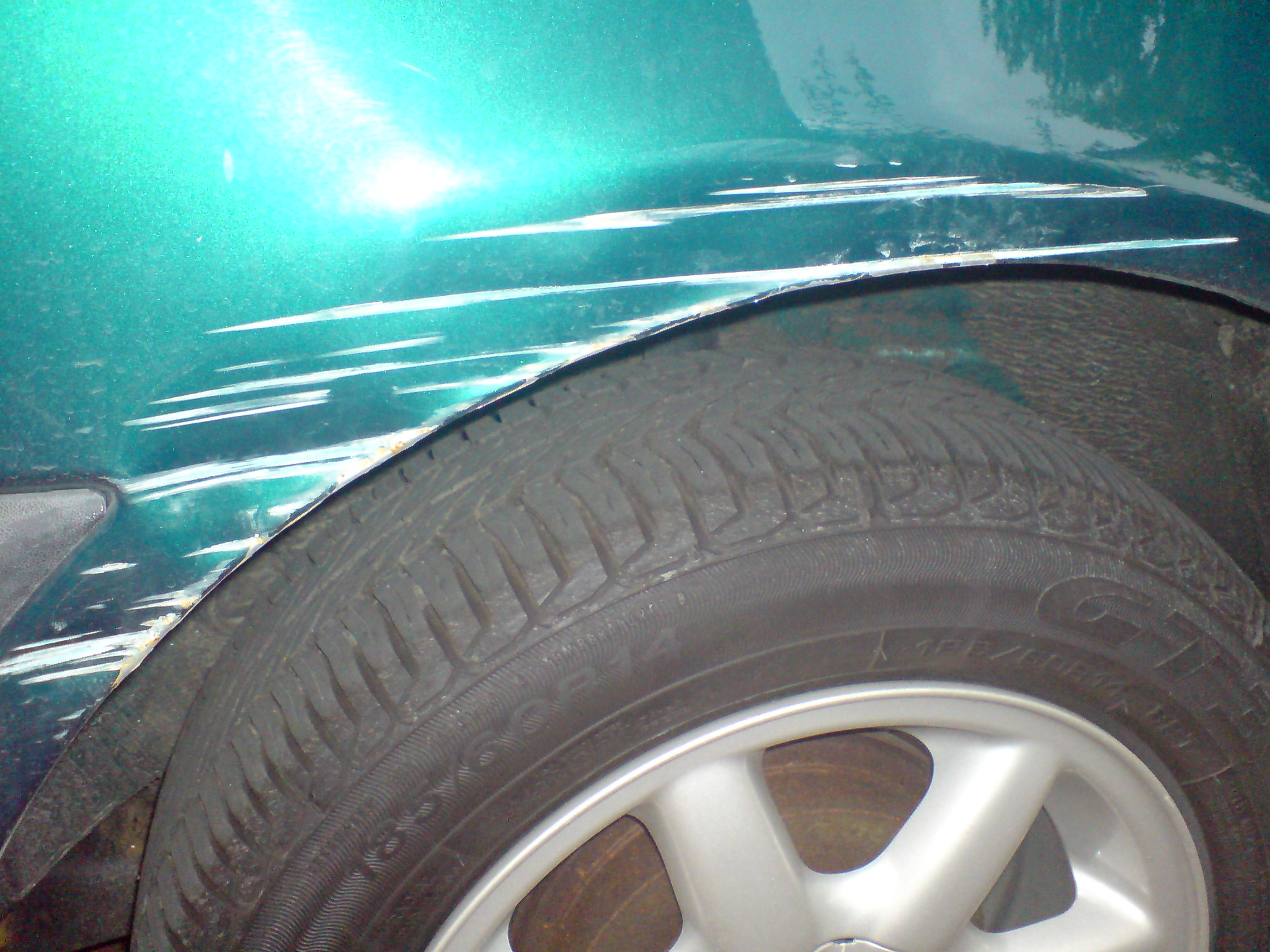 dsc00037zd4.jpg