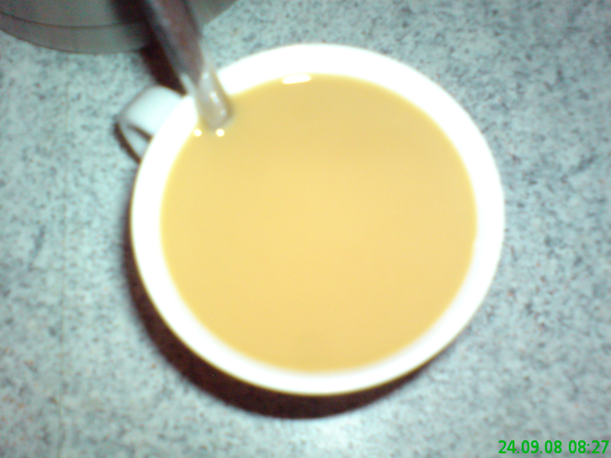 DSC00073.JPG