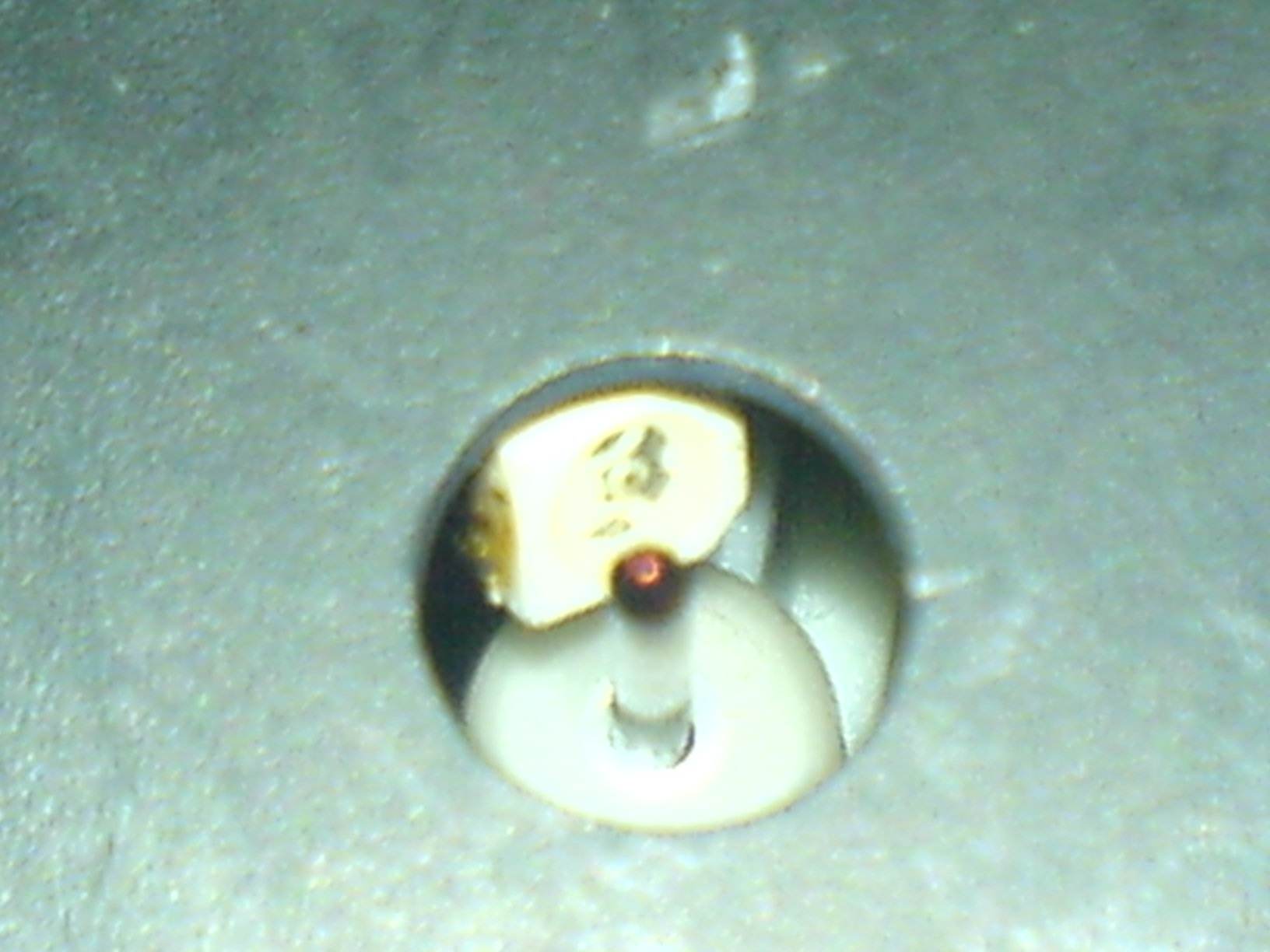 DSC00204.JPG