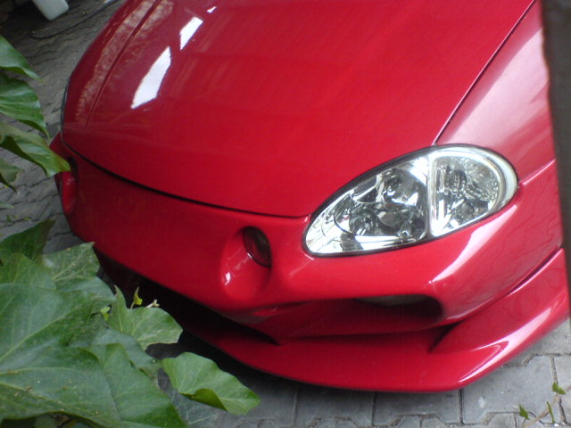 DSC00972.JPG