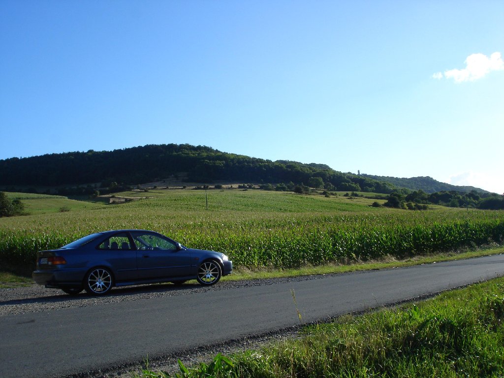 DSC02260_paint_2_1024x768.JPG