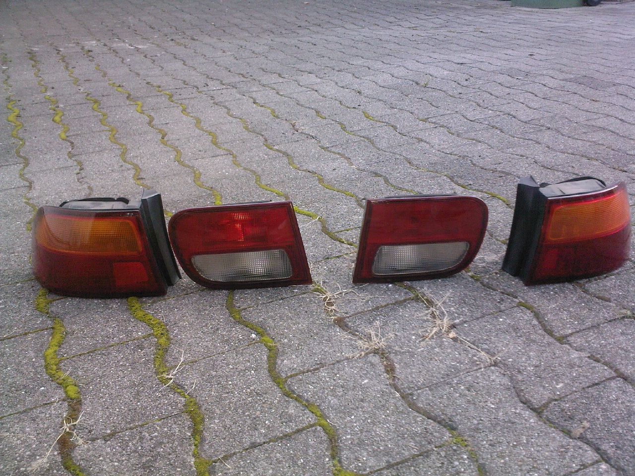 Foto0006.jpg
