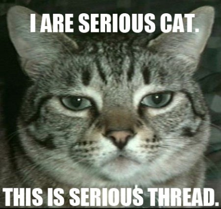 lolcatsdotcomi6imip0ypy32d24e.jpg