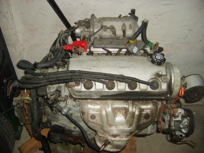 Kopie von S6002780.JPG