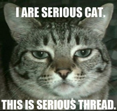 lolcatsdotcomi6imip0ypy32d24e.jpg