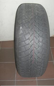 WR6.JPG