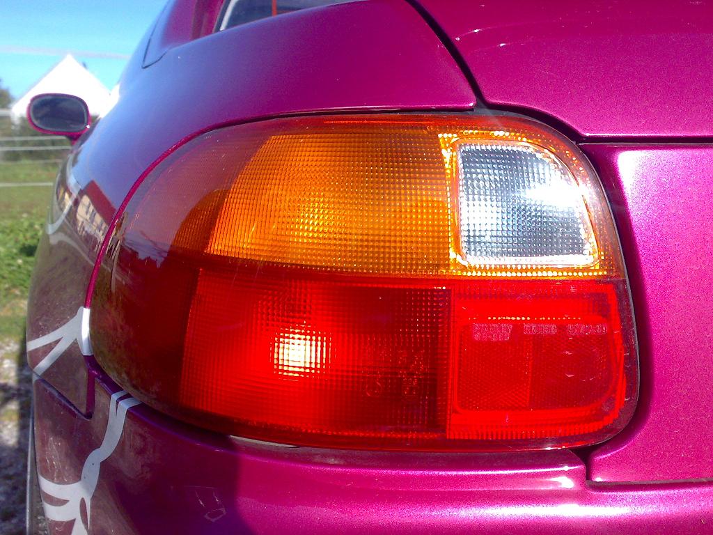 051020080233.JPG