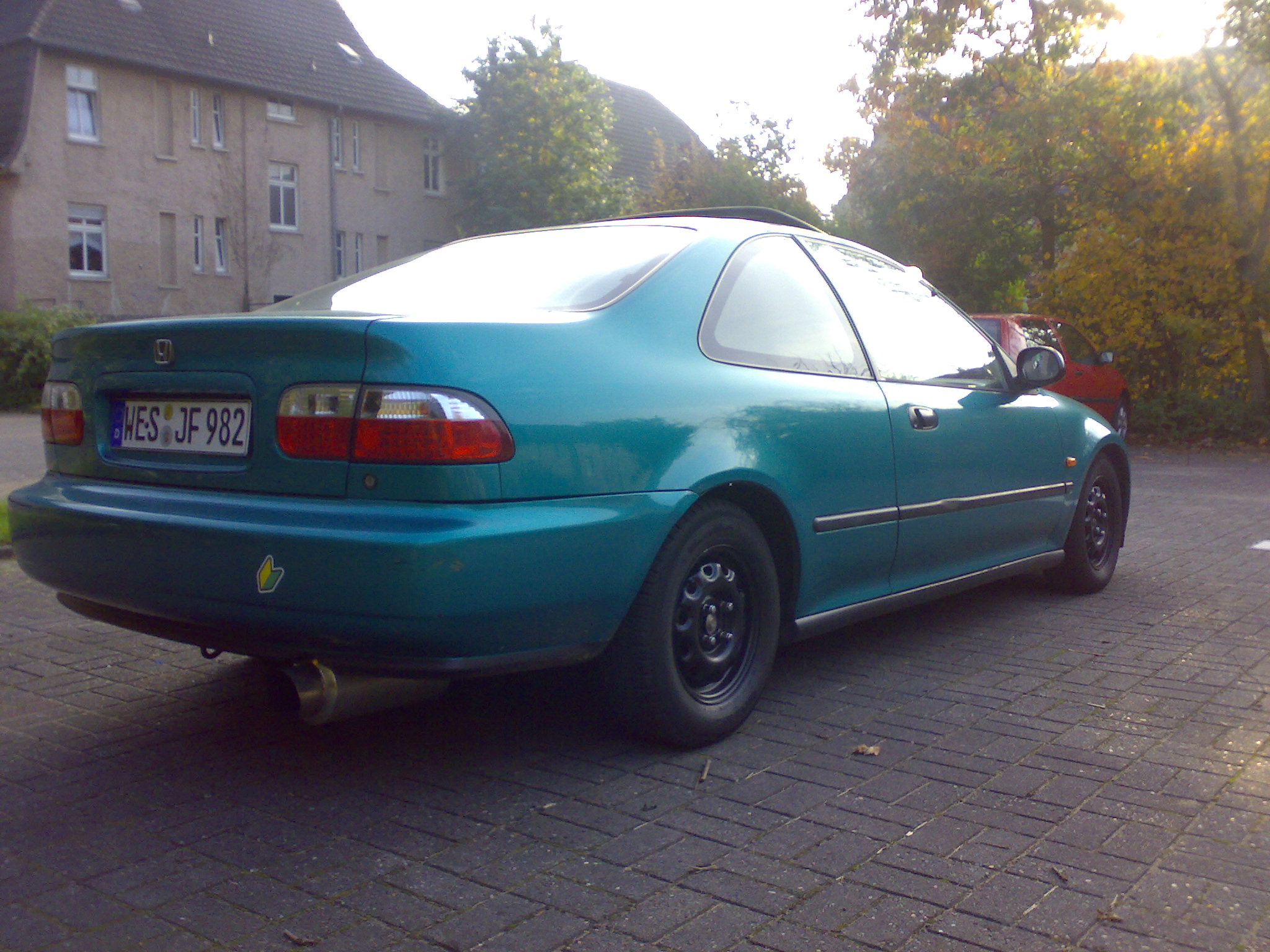 12102008976.jpg