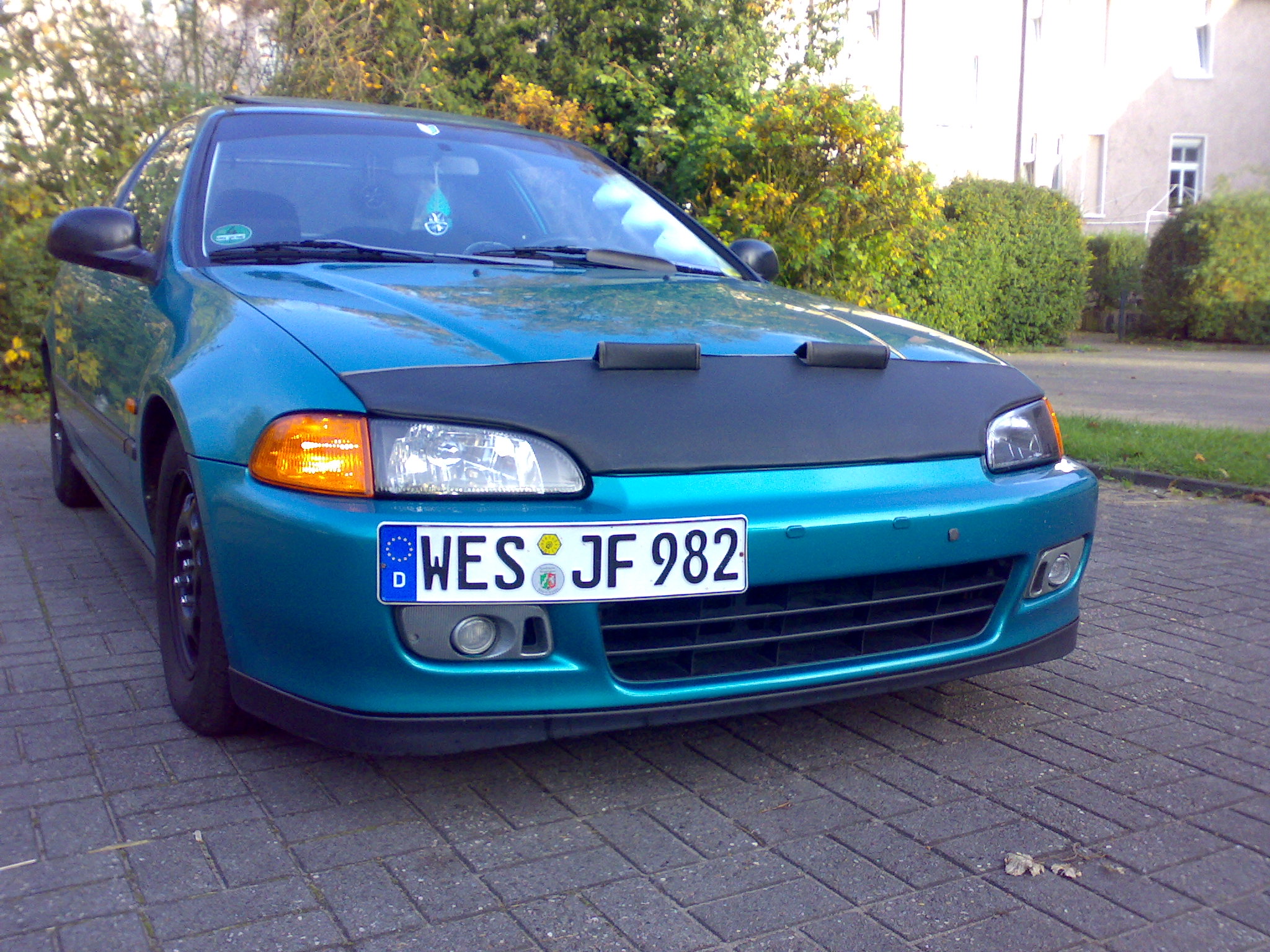 12102008982.jpg