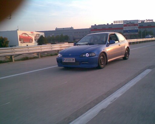 Clips & pic s025.jpg