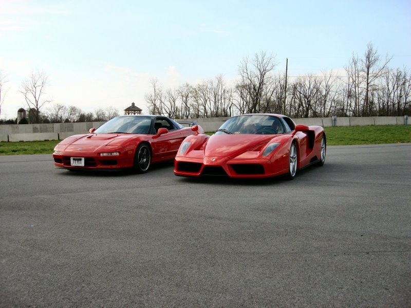 enzo.jpg